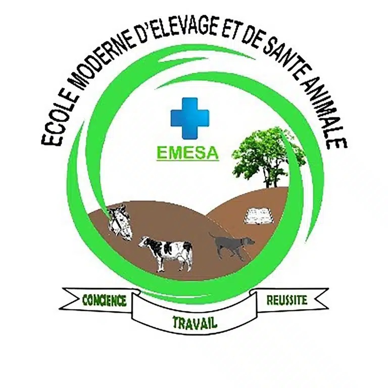 Logo partenaire